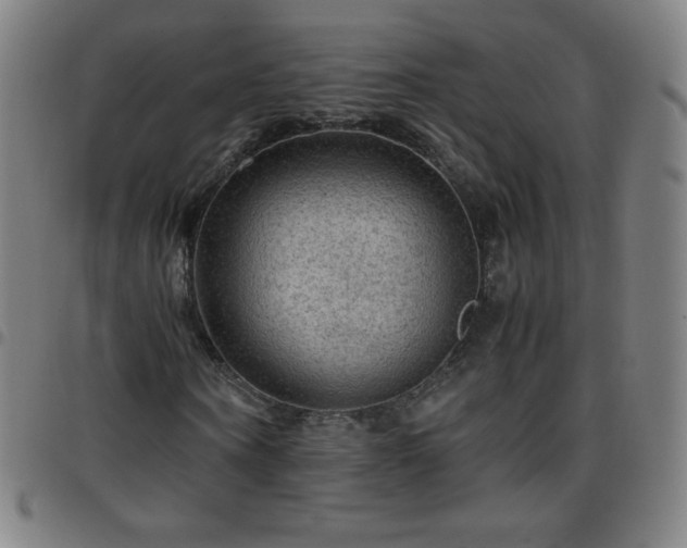 X0000097660866200803071530