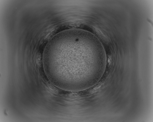 X0000097660867200803071530