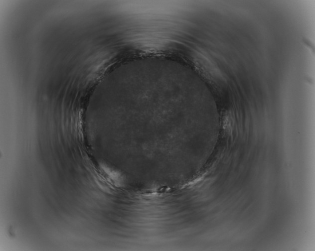 X0000097660868200803071530