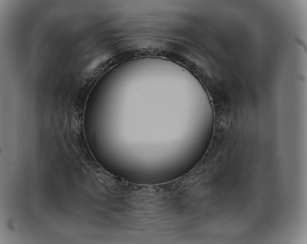 X0000097660869200803071530