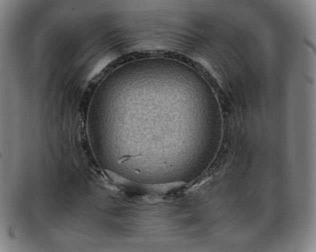 X0000097660871200803071530