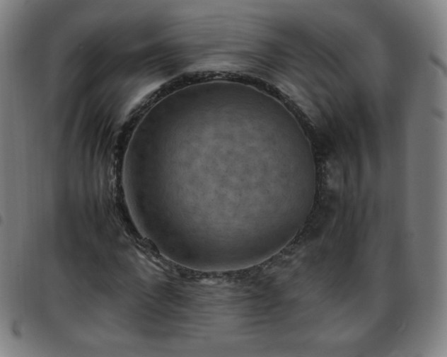 X0000097660872200803071530