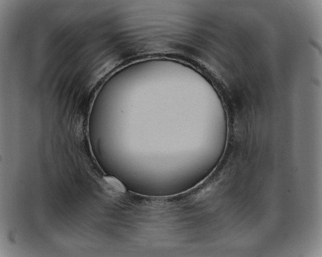 X0000097660873200803071530