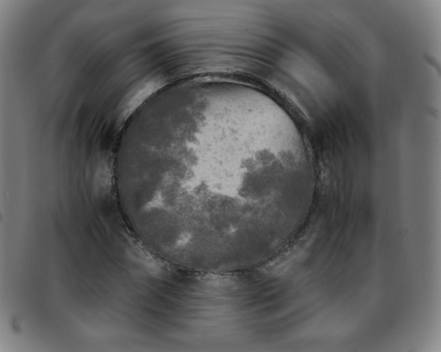 X0000097660874200803071530