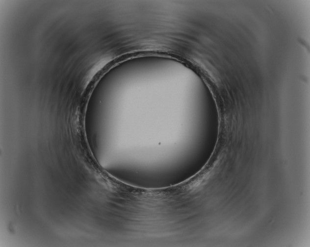 X0000097660875200803071530