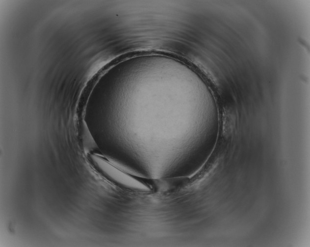 X0000097660876200803071530