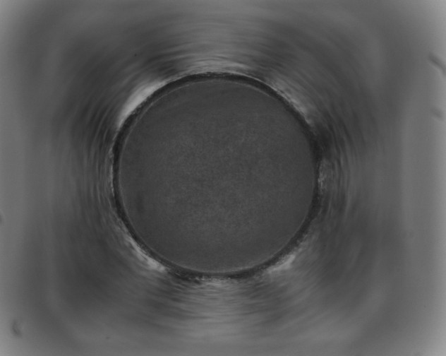 X0000097660877200803071530