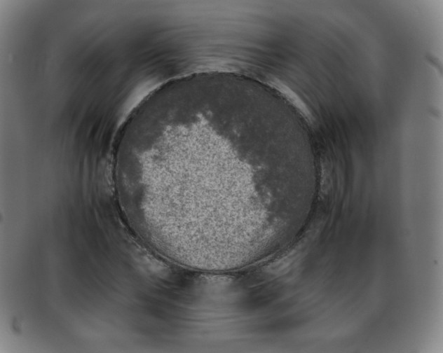 X0000097660878200803071530