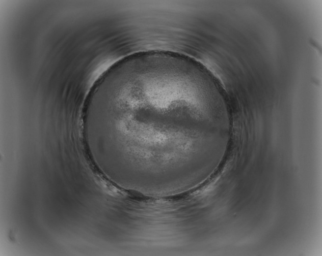 X0000097660879200803071529