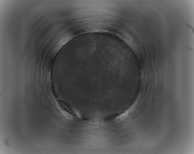 X0000097660881200803071529