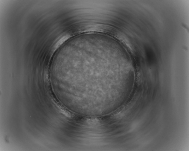X0000097660882200803071529