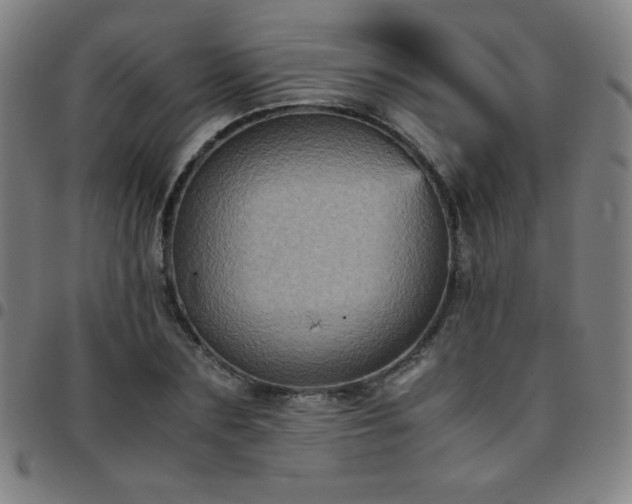 X0000097660883200803071529