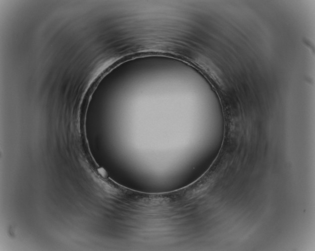 X0000097660884200803071529