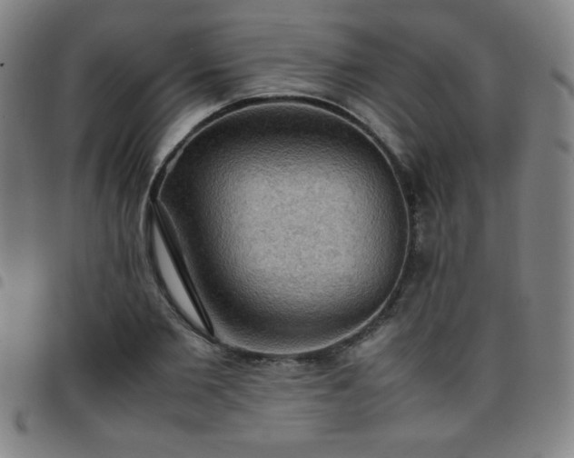 X0000097660885200803071529