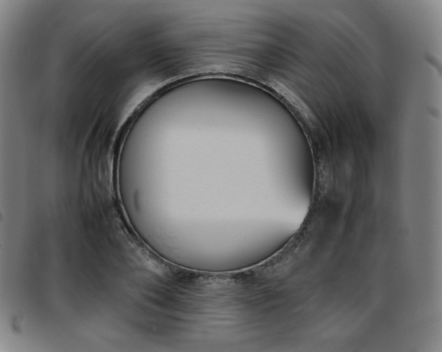 X0000097660886200803071529