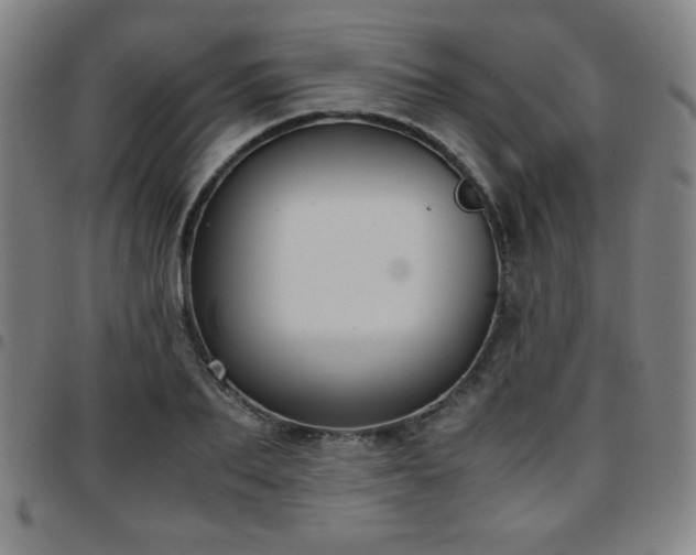 X0000097660887200803071529