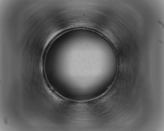 X0000097660888200803071529