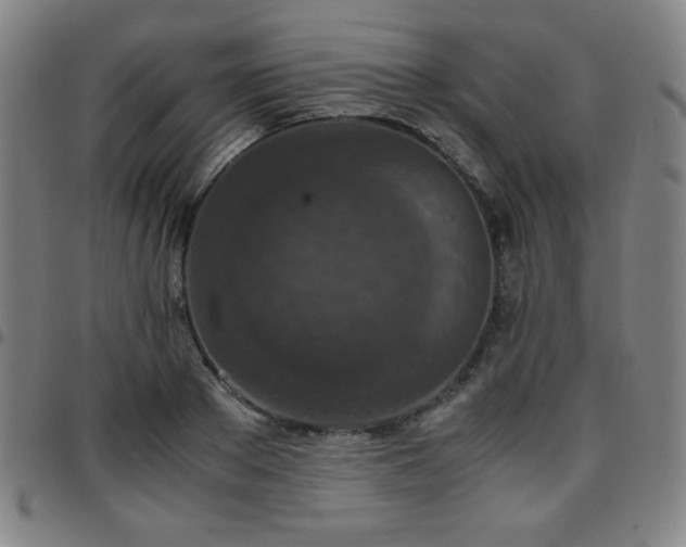 X0000097660889200803071529