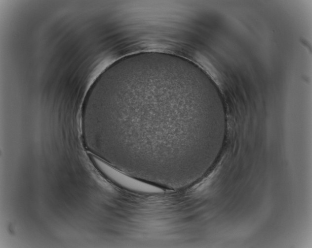 X0000097660891200803071529
