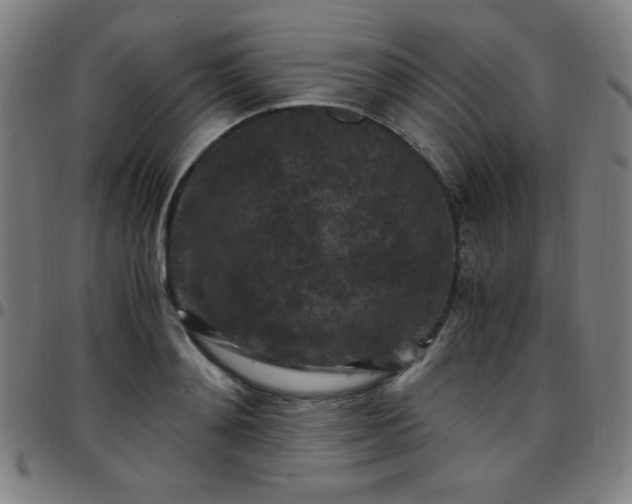 X0000097660892200803071529