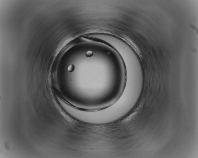 X0000097660893200803071529