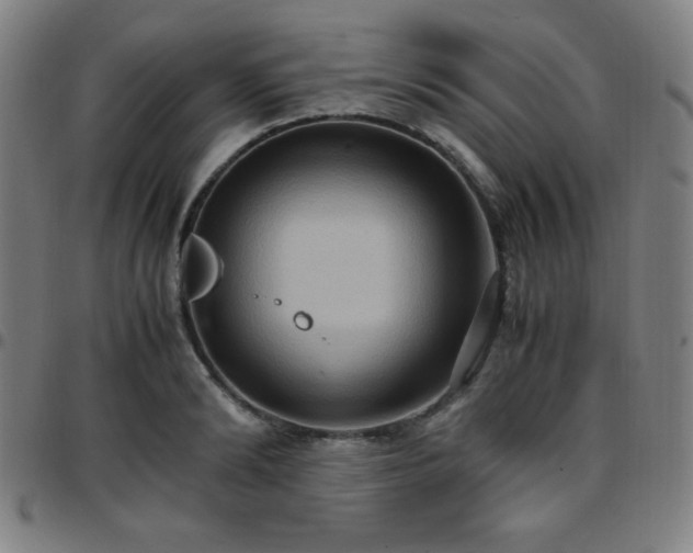 X0000097660894200803071529