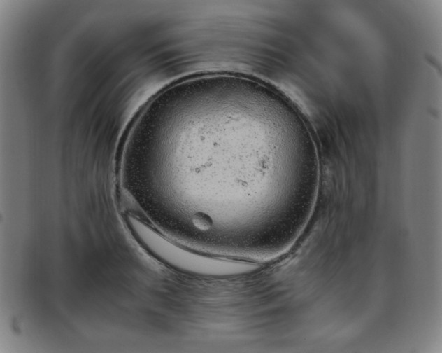 X0000097660895200803071529