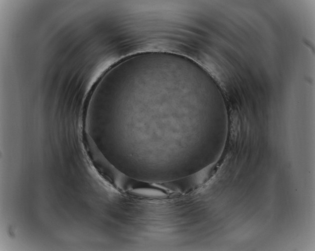 X0000097660896200803071529