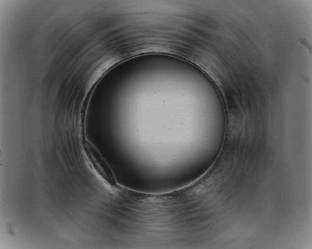 X0000097660898200803071529