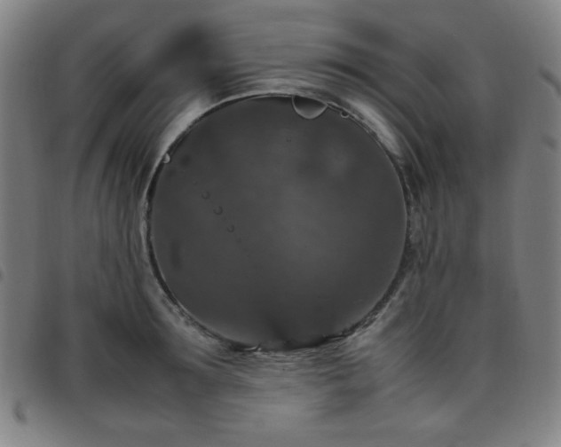 X0000097660899200803071529