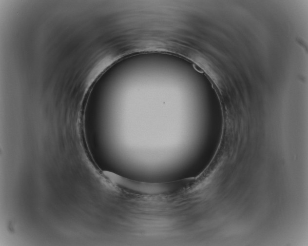 X0000097660901200803071529