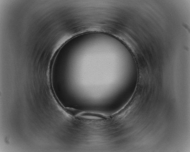 X0000097660902200803071529
