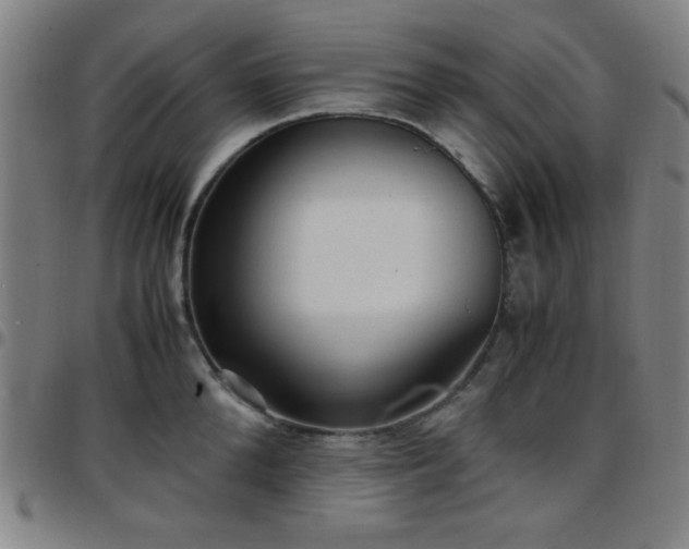 X0000097660904200803071529