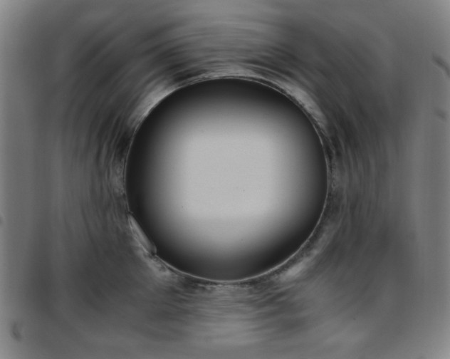 X0000097660905200803071529