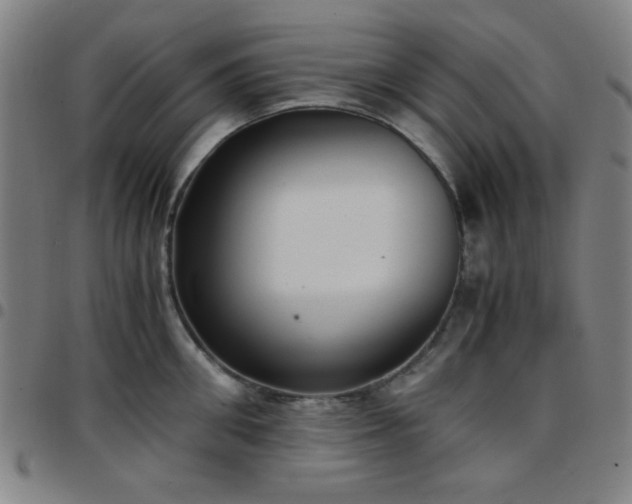 X0000097660906200803071529