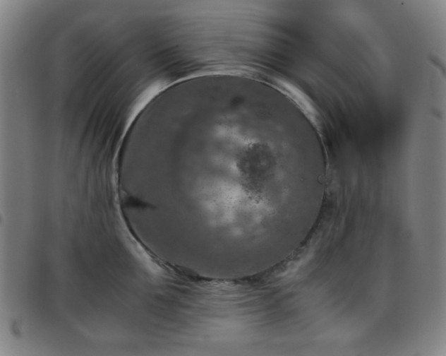 X0000097660907200803071529