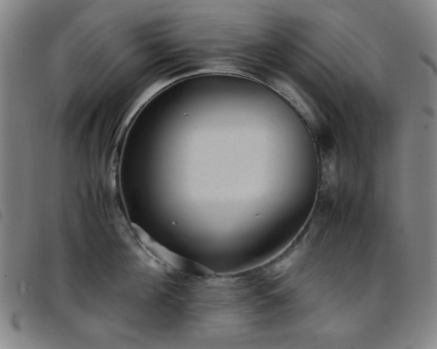 X0000097660908200803071529