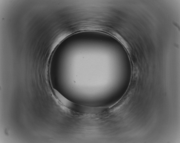 X0000097660909200803071529