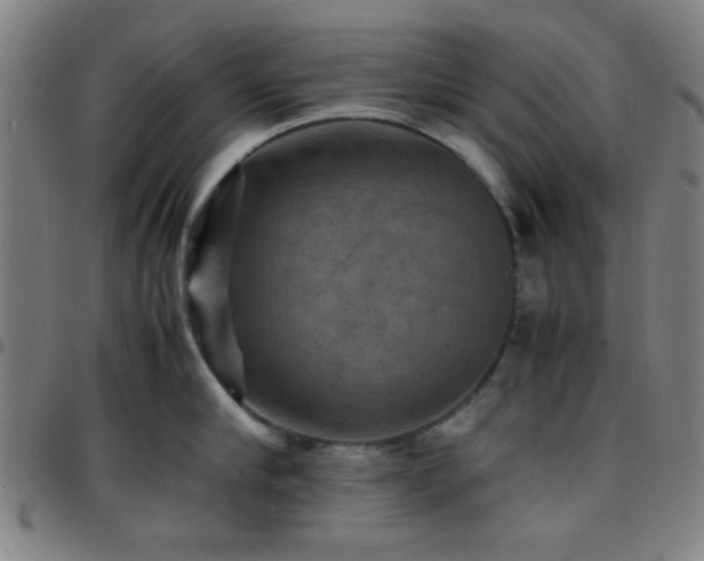 X0000097660910200803071529