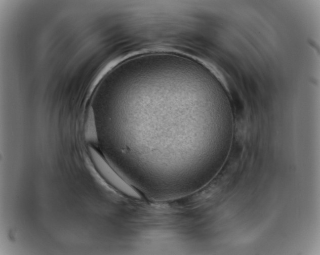 X0000097660911200803071529