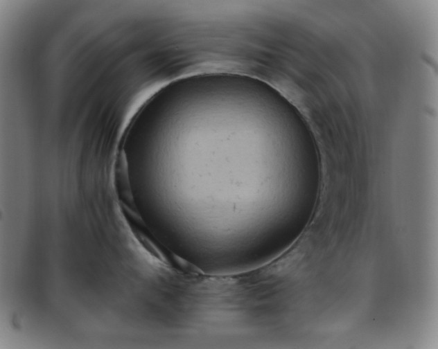 X0000097660912200803071529
