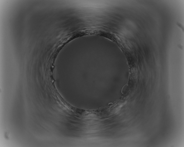 X0000097660913200803071528