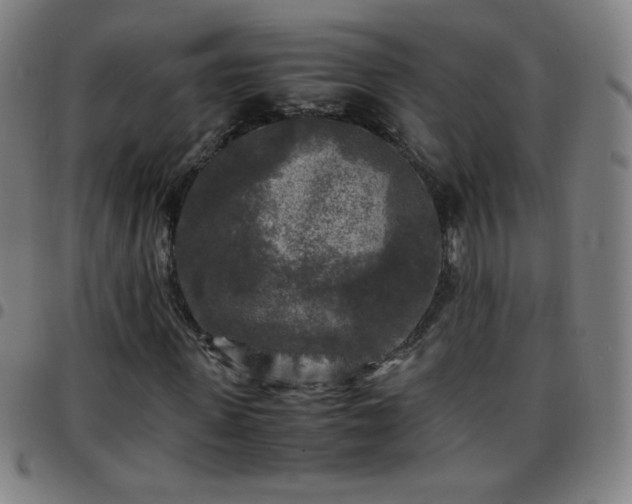 X0000097660915200803071528