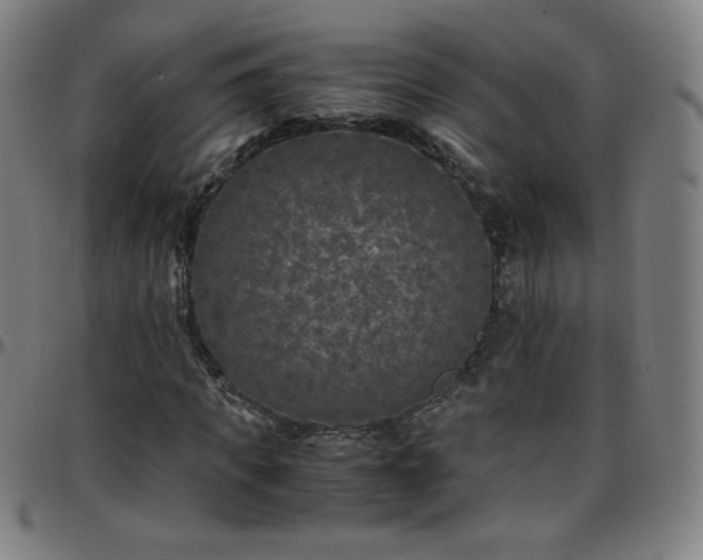 X0000097660917200803071528