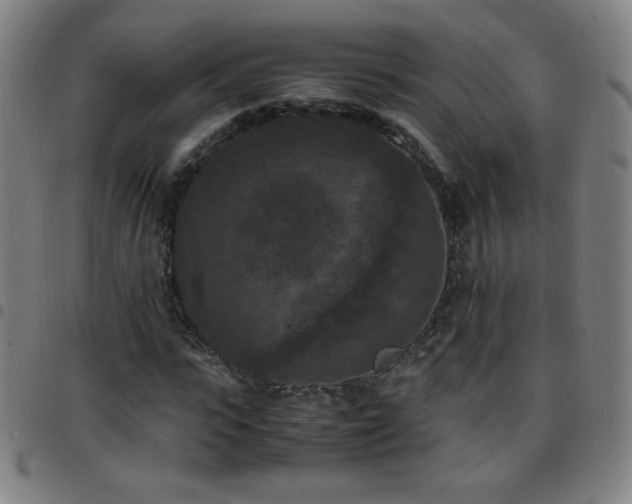 X0000097660919200803071528