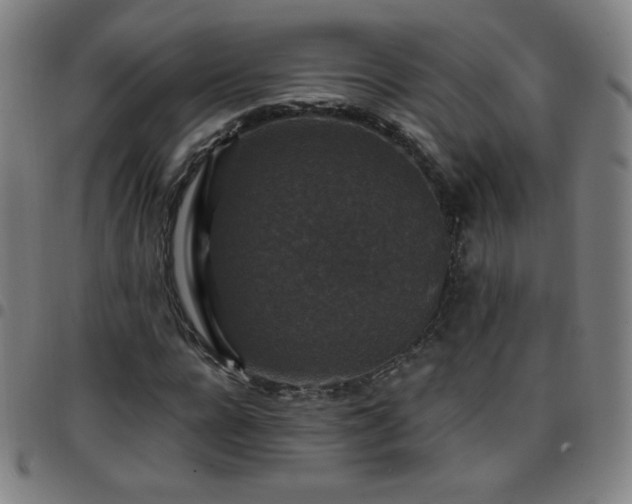 X0000097660920200803071528