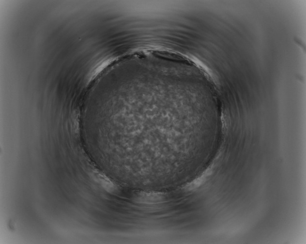 X0000097660921200803071529