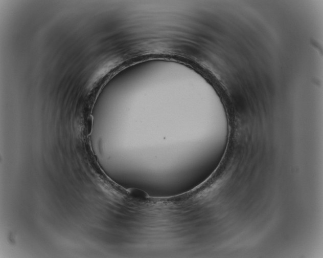X0000097660922200803071529