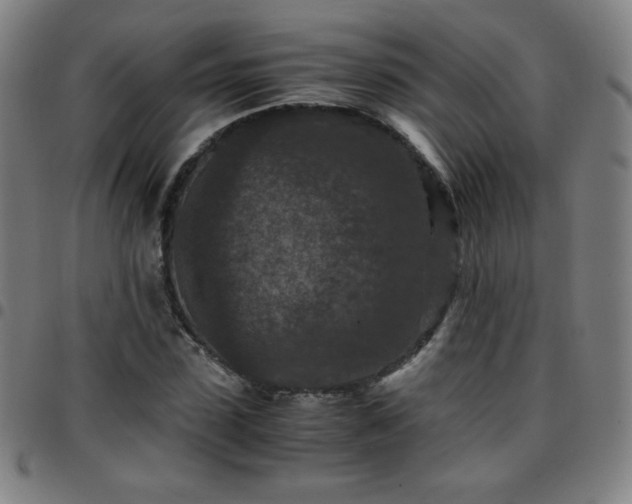 X0000097660923200803071529