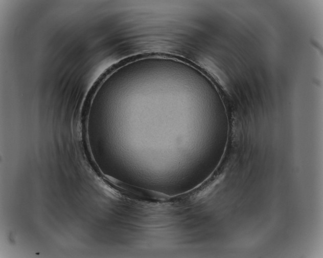 X0000097660924200803071529